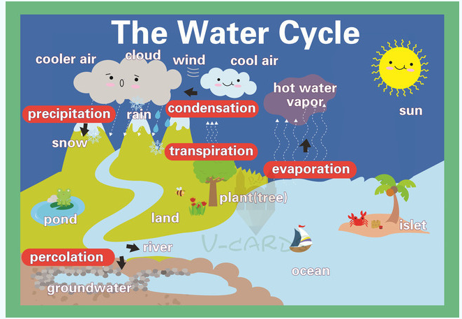 情境裝飾A3海報-水循環
