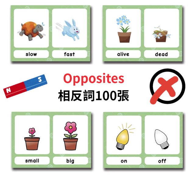 �^��ۤϵ��r�d(100�J)